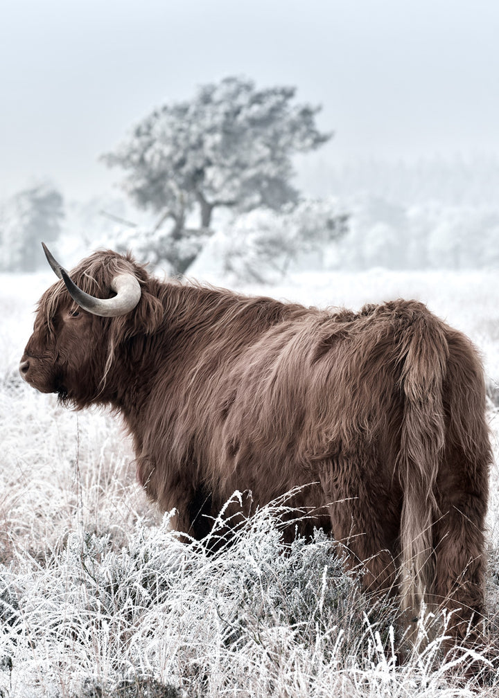 Poster - Highland