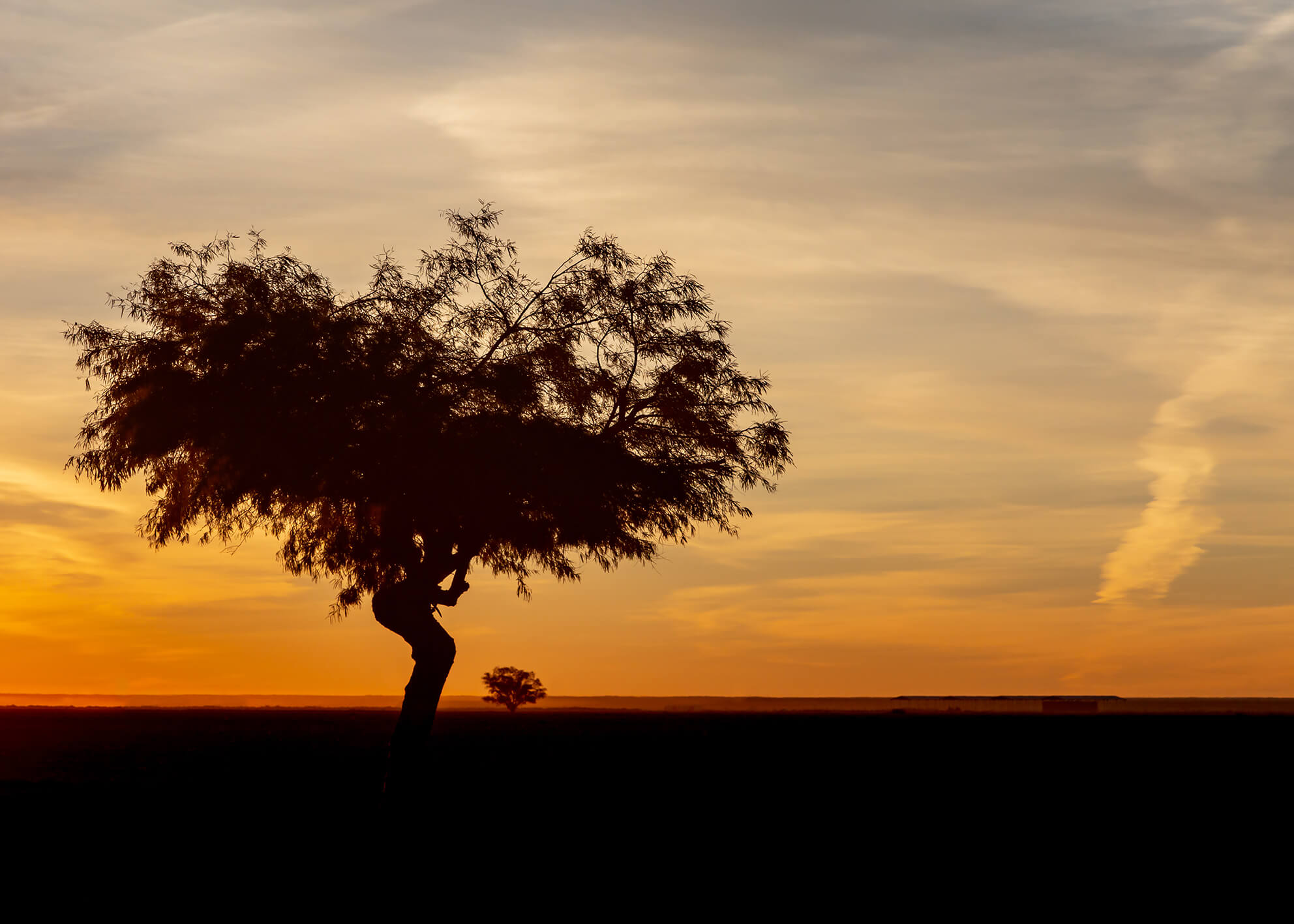 Canvastavla - African landscape (80x120)