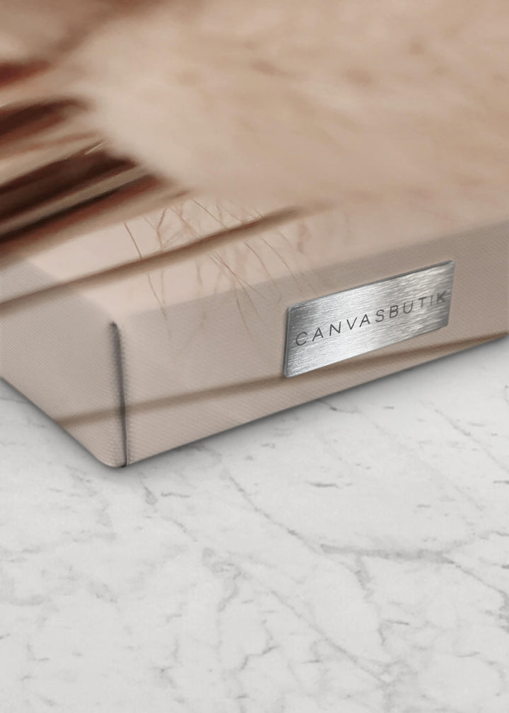 Canvastavla - Soft Pampas No2 (70x100)