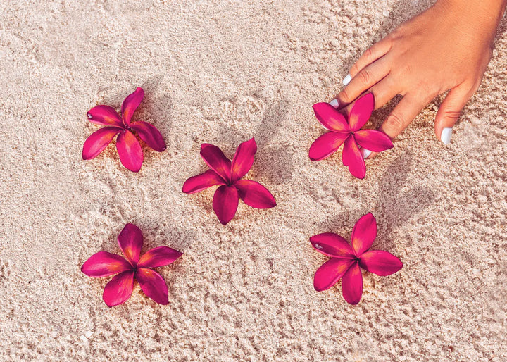 Leinwandbild - Red Flowers on Sand