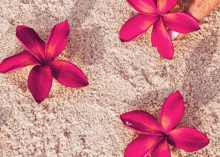 Leinwandbild - Red Flowers on Sand